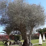 Marqués De La Moral Hotel