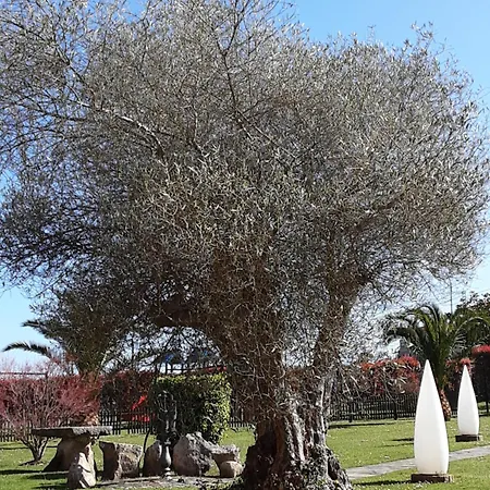 Marques De La Moral Hotel