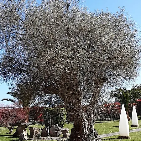 Marqués De La Moral Hotel