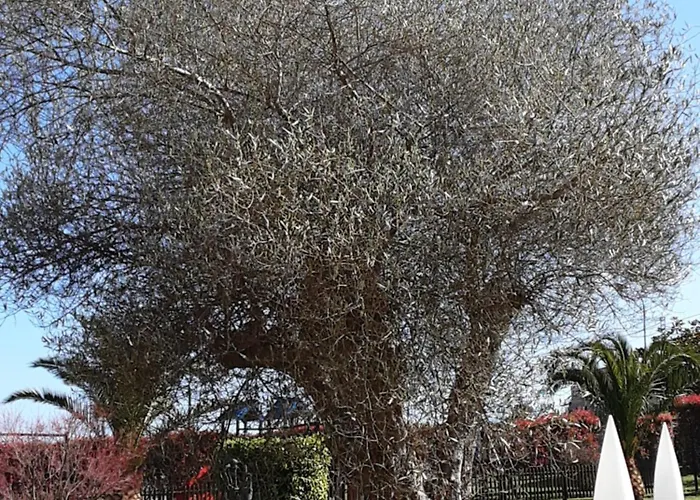 Marqués De La Moral Hotel